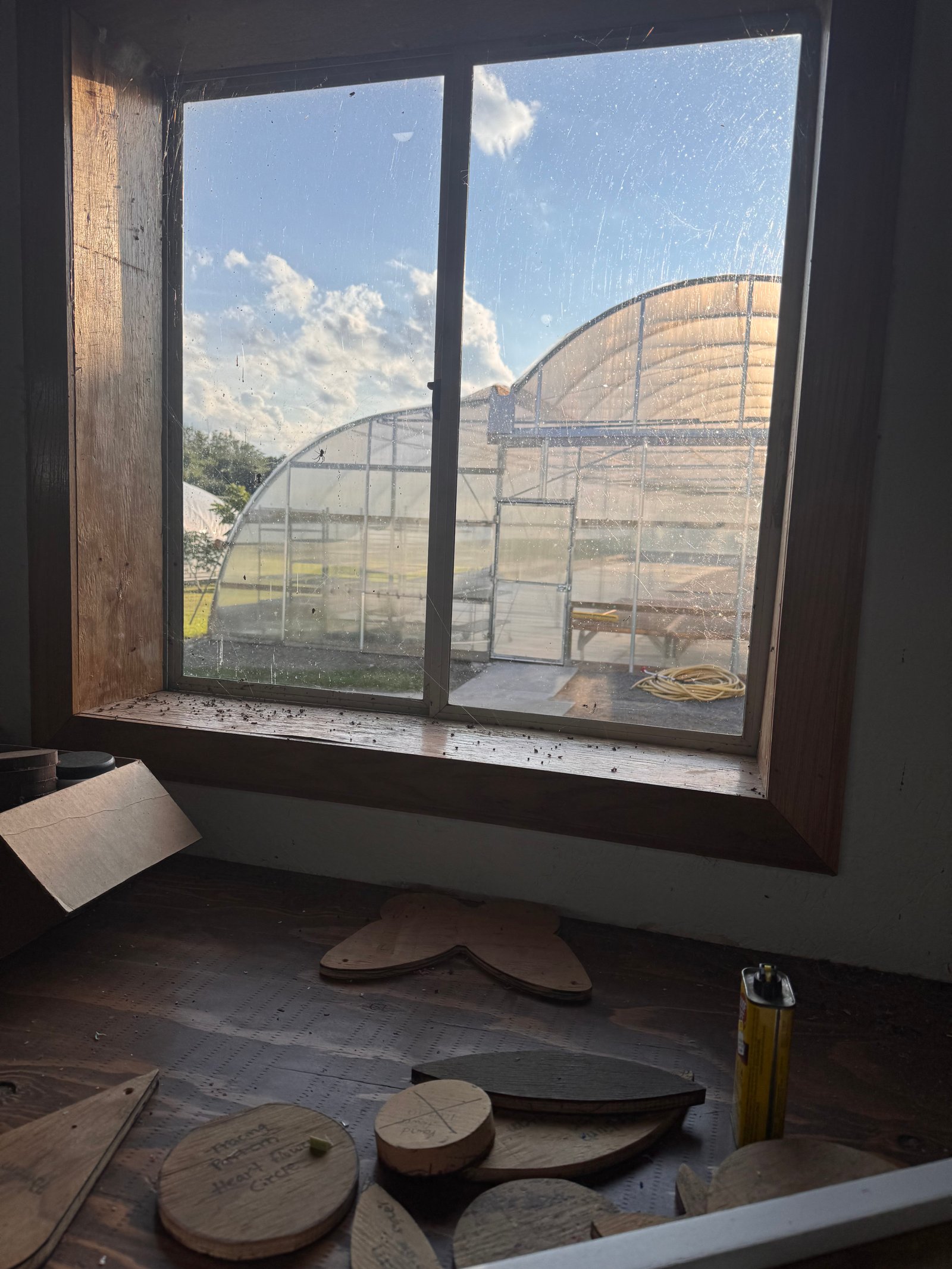 View from the workshop window