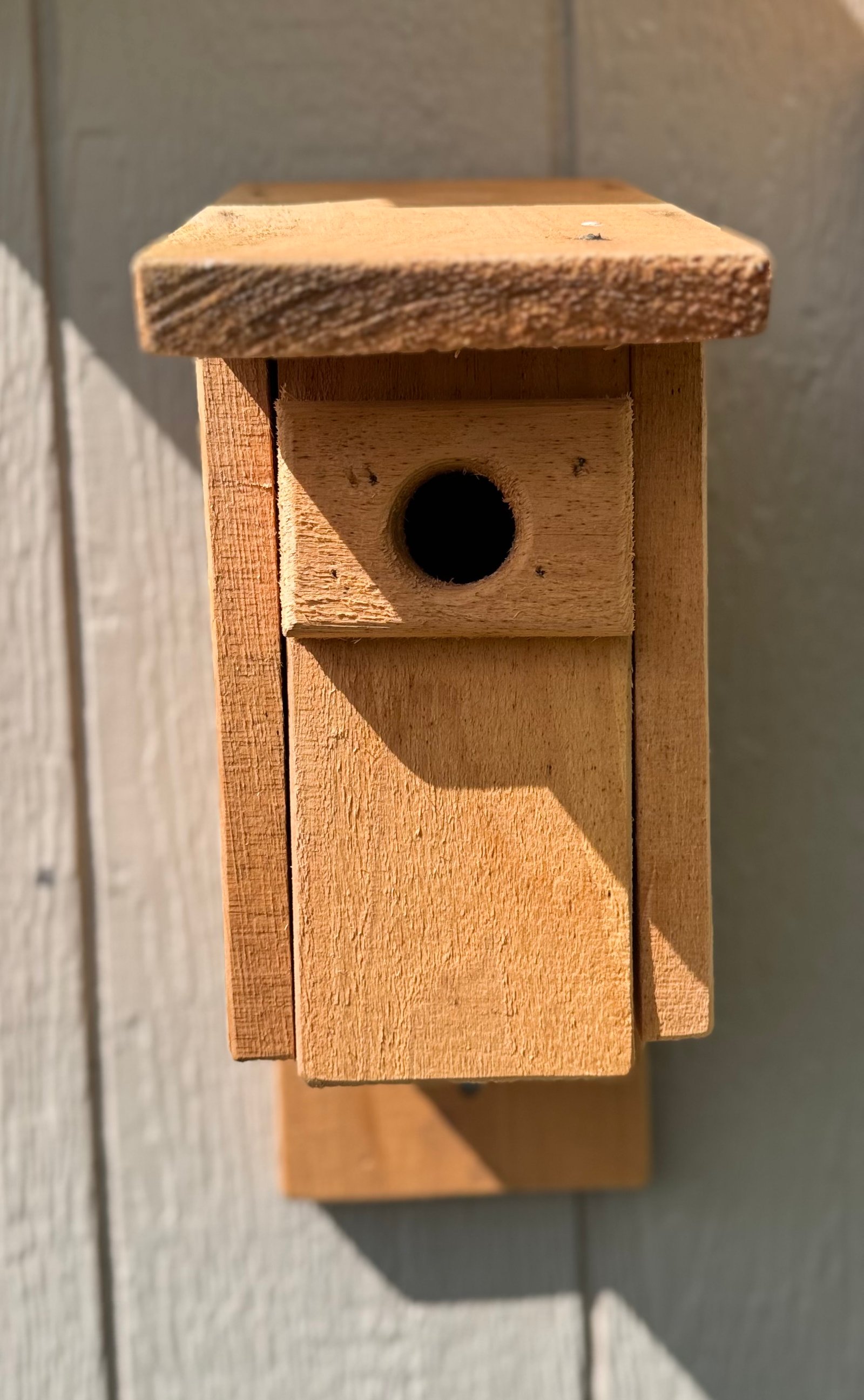 Pinewood Edition Birdhouse